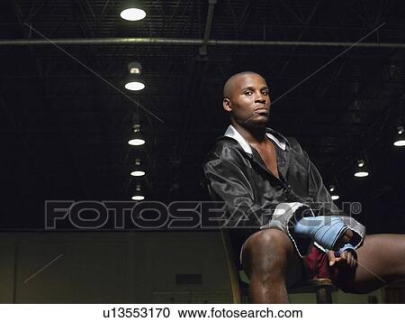 Stock Image - Boxer sitting on chair, portrait. Fotosearch