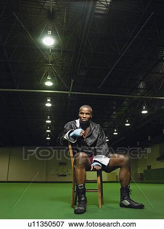 Stock Photo - Boxer sitting on chair, portrait. Fotosearch