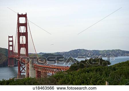 Curve of the Golden Gate Bridge, view to Marin County View Large Photo Image Stock Photograph - Curve of the Golden Gate Bridge, view to Marin County. Fotosearch