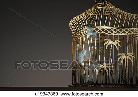 Stock Photo - Empty birdcage with feathers and bent bars. Fotosearch