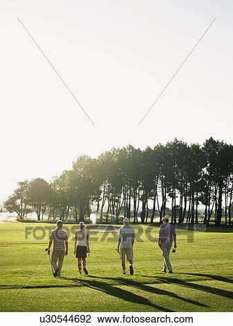Four young golfers walking on course, back view View Large Photo Image Stock Image - Four young golfers walking on course, back view. Fotosearch