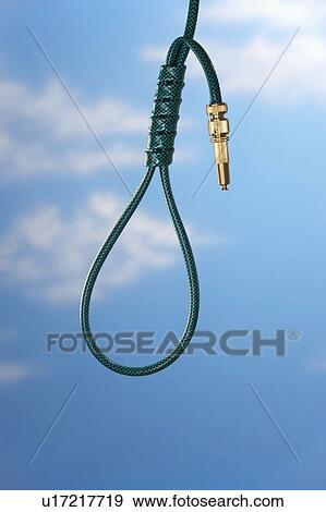Garden hose as hangman's noose in front of blue sky View Large Photo Image Stock Photo - Garden hose as hangman's noose in front of blue sky. Fotosearch