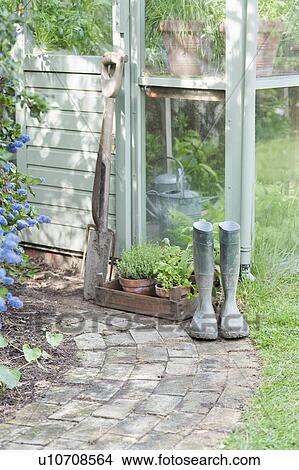 Picture - Garden tools and wellington boots outside greenhouse. Fotosearch
