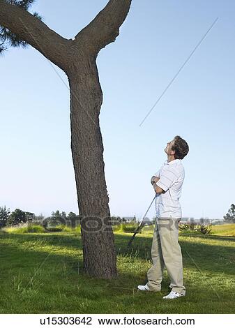 Golfer looking for ball in tree View Large Photo Image Stock Image - Golfer looking for ball in tree. Fotosearch