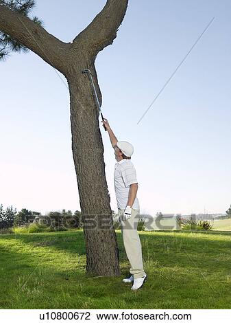 Stock Image - Golfer retrieving ball from tree. Fotosearch