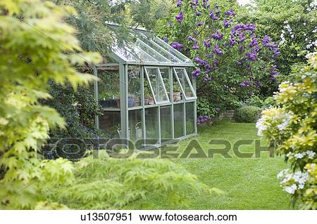 Greenhouse in back garden with open windows for ventilation View Large Photo Image Stock Image - Greenhouse in back garden with open windows for ventilation. Fotosearch