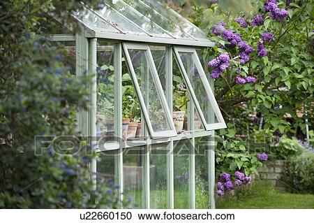 Greenhouse in back garden with open windows for ventilation View Large Photo Image Stock Image - Greenhouse in back garden with open windows for ventilation. Fotosearch