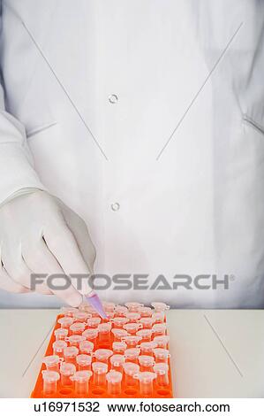 Lab worker adding violet liquid to test tubes in orange tray View Large Photo Image Stock Image - Lab worker adding violet liquid to test tubes in orange tray. Fotosearch
