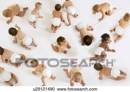 Stock Image - Large Group of Babies, montage. Fotosearch