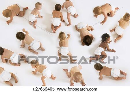 Stock Photography - Large Group of Babies, montage. Fotosearch
