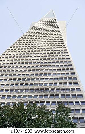 Stock Image - Low angle view of the Transamerica Pyramid, San Francisco designed by William Pereira. Fotosearch