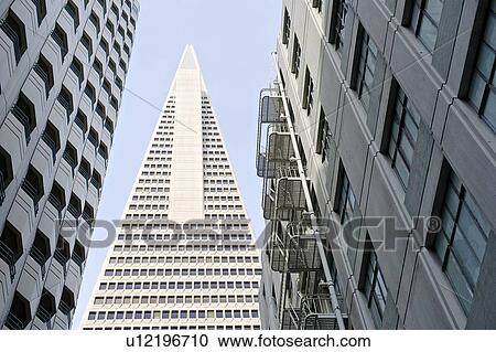 Stock Image - Low angle view of the Transamerica Pyramid, San Francisco designed by William Pereira. Fotosearch