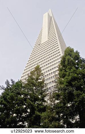 Low angle view of the Transamerica Pyramid, San Francisco designed by William Pereira View Large Photo Image Stock Image - Low angle view of the Transamerica Pyramid, San Francisco designed by William Pereira. Fotosearch
