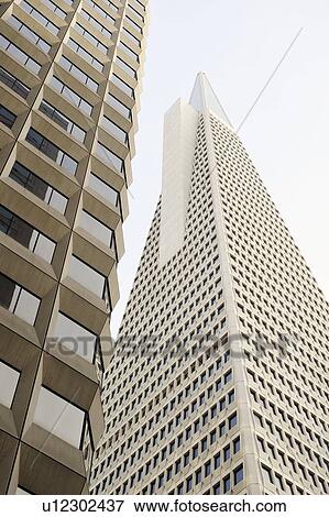 Low angle view of the Transamerica Pyramid, San Francisco designed by William Pereira View Large Photo Image Stock Photo - Low angle view of the Transamerica Pyramid, San Francisco designed by William Pereira. Fotosearch