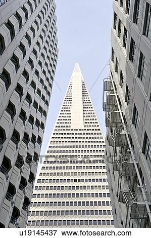Stock Photo - Low angle view of the Transamerica Pyramid, San Francisco designed by William Pereira. Fotosearch