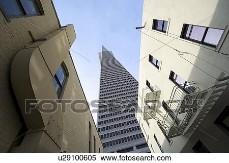 Stock Photography - Low angle view of the Transamerica Pyramid, San Francisco designed by William Pereira. Fotosearch