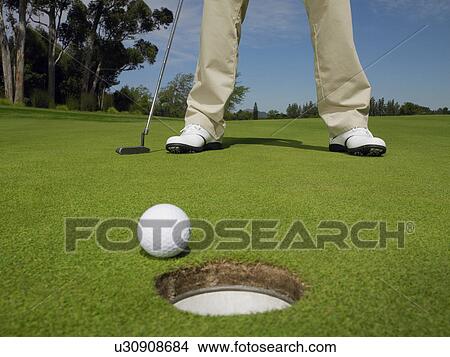 Picture - Male golfer standing on green, low section, ball at hole on foreground. Fotosearch