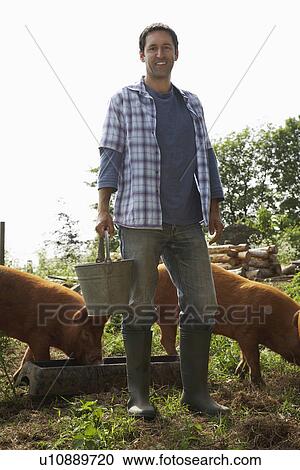 Man feeding pigs in sty, portrait View Large Photo Image Stock Image - Man feeding pigs in sty, portrait. Fotosearch
