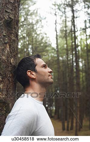 Man in forest leaning on tree looking up at canopy, side view View Large Photo Image Stock Photo - Man in forest leaning on tree looking up at canopy, side view. Fotosearch