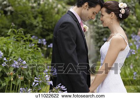 Mid adult bride and groom in garden, face to face, side view View Large Photo Image Stock Image - Mid adult bride and groom in garden, face to face, side view. Fotosearch