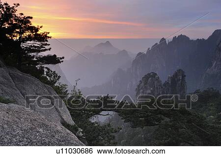 Stock Photograph - Monkey Gazing Over a Sea of Clouds Lookout in Huangshan mountains (Yellow Mountains) Anhui province, China. Fotosearch