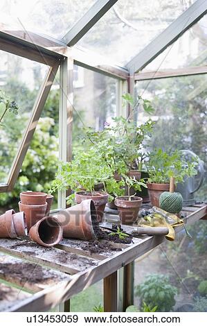 Overturned pots on workbench in potting shed View Large Photo Image Stock Photo - Overturned pots on workbench in potting shed. Fotosearch