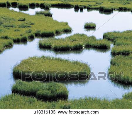 Stock Image - Pond in grassland. Fotosearch