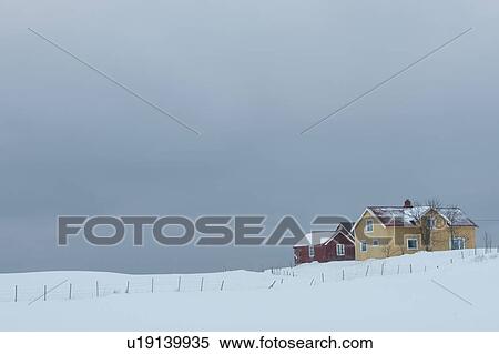 Stock Photography - Remote house in coastal landscape, Flakstad, Flakstadoya, Loftofen, Norway. Fotosearch
