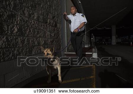 Security guard in alleyway pursuit with guard dog View Large Photo Image Stock Image - Security guard in alleyway pursuit with guard dog. Fotosearch