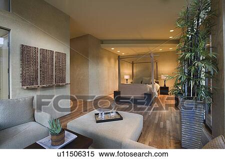 Spacious living room interior with bamboo houseplant View Large Photo Image Stock Photography - Spacious living room interior with bamboo houseplant. Fotosearch