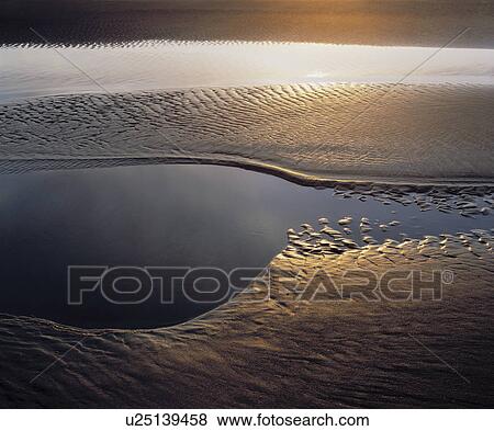 Sunlight on tidal flats View Large Photo Image Stock Photo - Sunlight on tidal flats. Fotosearch