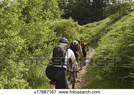 Stock Photo - Three cyclists on track in countryside. Fotosearch