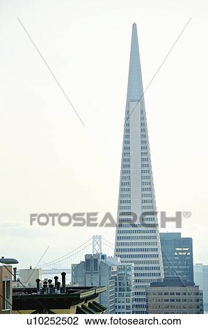 Transamerica Pyramid, San Francisco designed by William Pereira View Large Photo Image Stock Image - Transamerica Pyramid, San Francisco designed by William Pereira. Fotosearch