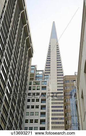 Transamerica Pyramid, San Francisco designed by William Pereira View Large Photo Image Stock Image - Transamerica Pyramid, San Francisco designed by William Pereira. Fotosearch