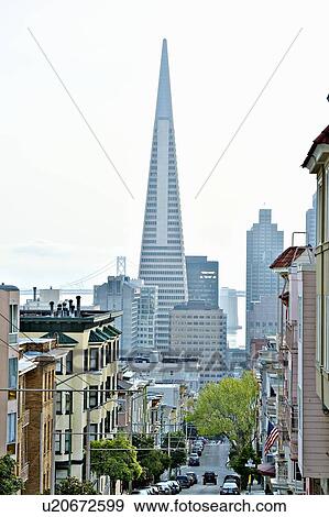Stock Photo - Transamerica Pyramid, San Francisco designed by William Pereira. Fotosearch