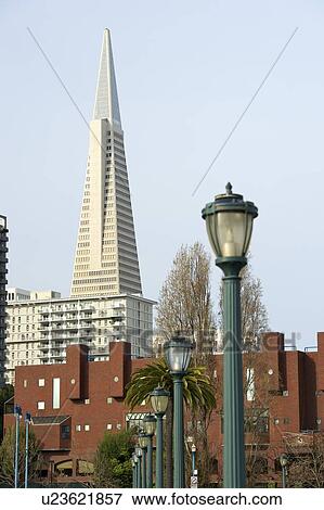 Transamerica Pyramid, San Francisco designed by William Pereira View Large Photo Image Stock Photo - Transamerica Pyramid, San Francisco designed by William Pereira. Fotosearch