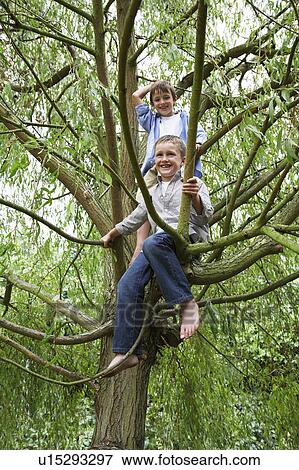 Two boys (9-11) sitting in tree View Large Photo Image Stock Photo - Two boys (9-11) sitting in tree. Fotosearch