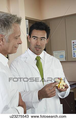 Two doctors looking at medical model View Large Photo Image Stock Image - Two doctors looking at medical model. Fotosearch