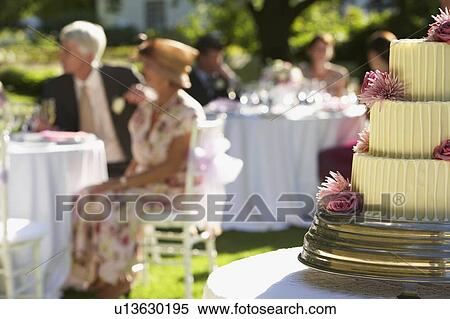 Stock Photography - Wedding Party in Garden. Fotosearch