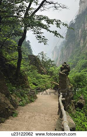 West Sea Canyon, Huangshan mountains(Yellow Mountains)Anhui province, China View Large Photo Image Stock Image - West Sea Canyon, Huangshan mountains(Yellow Mountains)Anhui province, China. Fotosearch