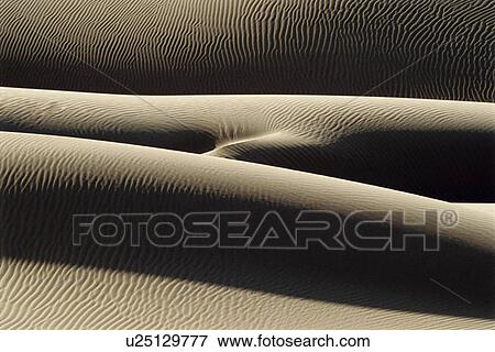 Windswept sand dunes View Large Photo Image Stock Photo - Windswept sand dunes. Fotosearch