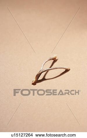 Wishbone View Large Photo Image Picture - Wishbone. Fotosearch