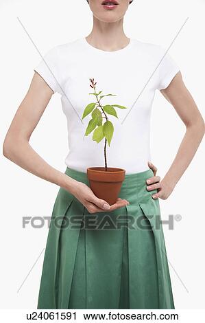 Woman Holding Potted Plant, half length, cropped View Large Photo Image Stock Image - Woman Holding Potted Plant, half length, cropped. Fotosearch
