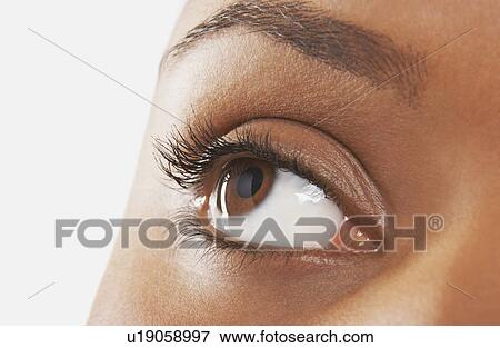 Stock Photo - Woman's Eye looking up. Fotosearch