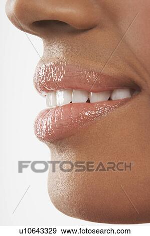 Woman's mouth, perfect teeth View Large Photo Image Stock Photo - Woman's mouth, perfect teeth. Fotosearch