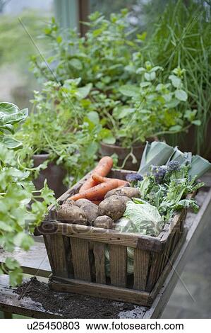 Stock Image - Wooden crate of fresh vegetables. Fotosearch