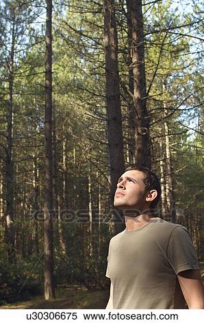 Worried man standing in woods looking up at canopy View Large Photo Image Stock Photography - Worried man standing in woods looking up at canopy. Fotosearch