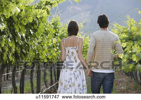 Young couple in vineyard, back view View Large Photo Image Stock Photo - Young couple in vineyard, back view. Fotosearch