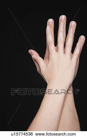 Young couple touching palms, arms raised together, close-up on hands View Large Photo Image Stock Photograph - Young couple touching palms, arms raised together, close-up on hands. Fotosearch