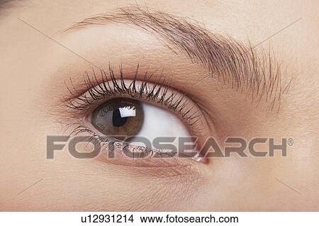 Young woman's eye View Large Photo Image Picture - Young woman's eye. Fotosearch
